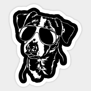 Jack Russell Terrier sunglasses cool dog Sticker